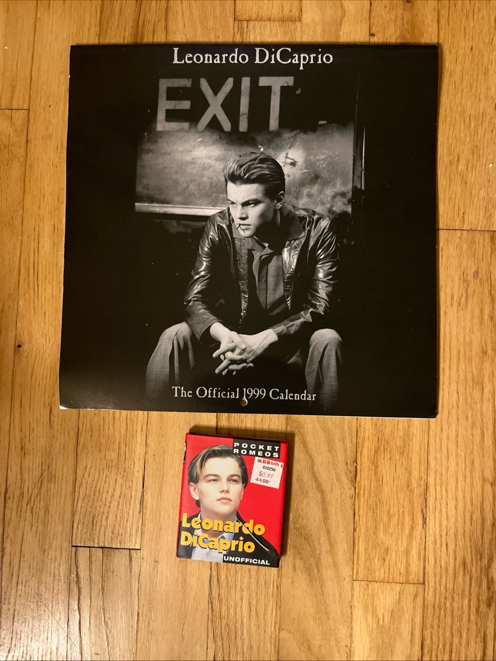 Vtg 99 New unsealed Leonardo DiCaprio Calendar /Greg Gorman Photos & pocket book
